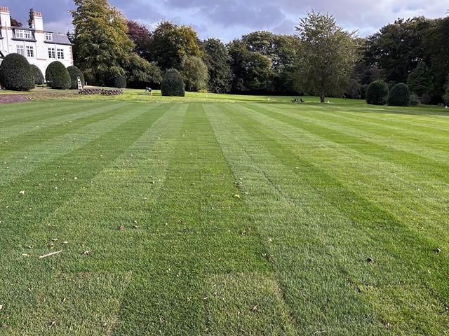 grass-cutting (1)-kireth-ai